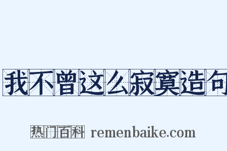 我不曾这么寂寞造句是什么意思的图片